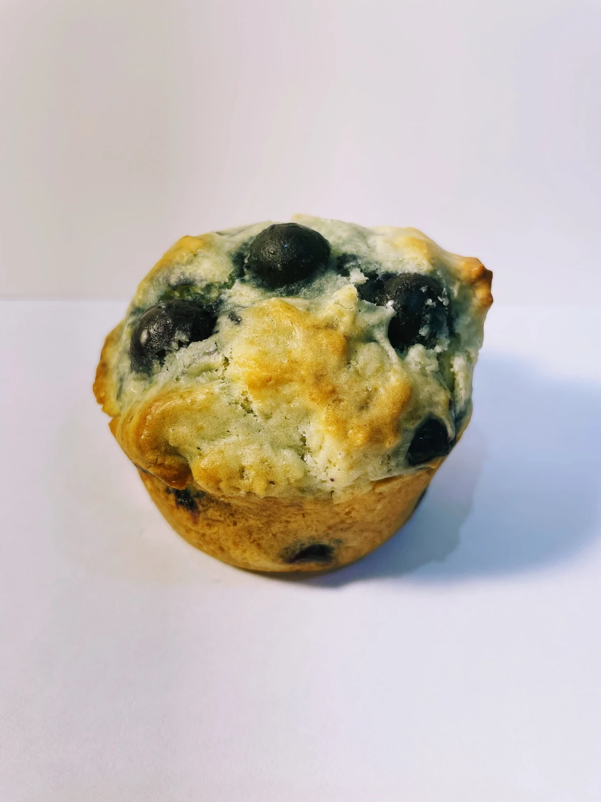 Blueberry muffin